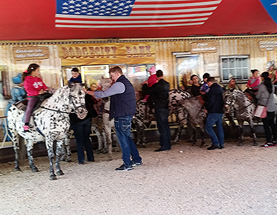Pfingstkirmes: Streit um Ponys geht weiter