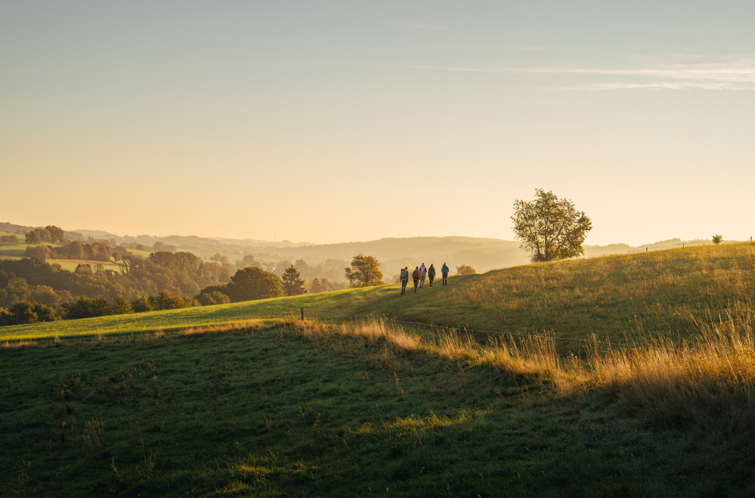 „Das Bergische“ zieht positive Jahresbilanz: Tourismusregion mit starkem Wachstum und klarer Zukunftsstrategie 4_wanderwochen-c-jonas-duelberg(1)
