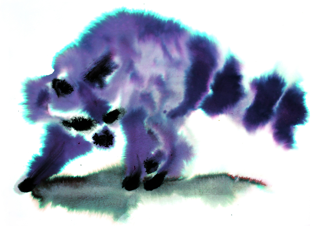 VII Foto_Willeke_Racoon_Kunstsaeulen_Stadt_Koeln_Dez.2025_c_Markus Willeke(1)